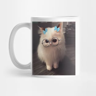 This snapchat filter on my cat Mug